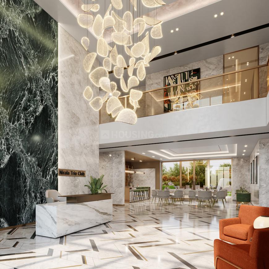 Nirala Trio - Image 11