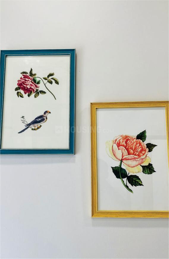 Beetle Orchid - Image 14