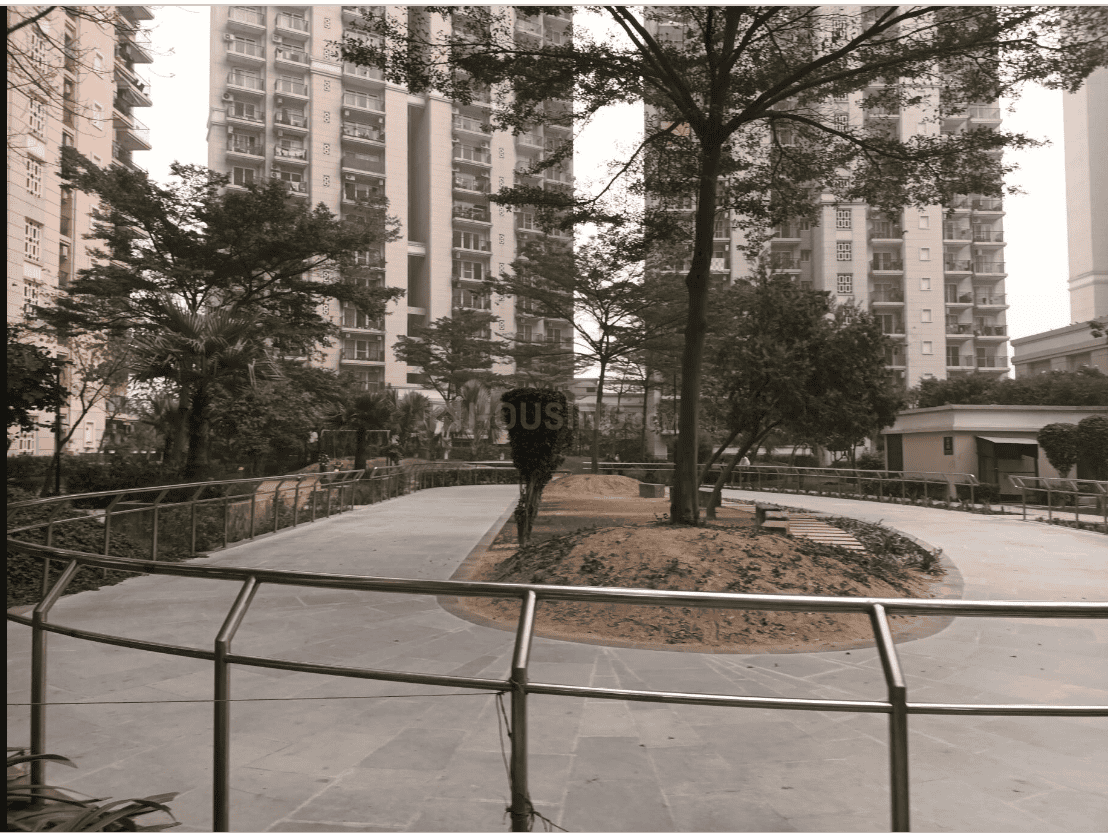 ATS Dolce - Image 37