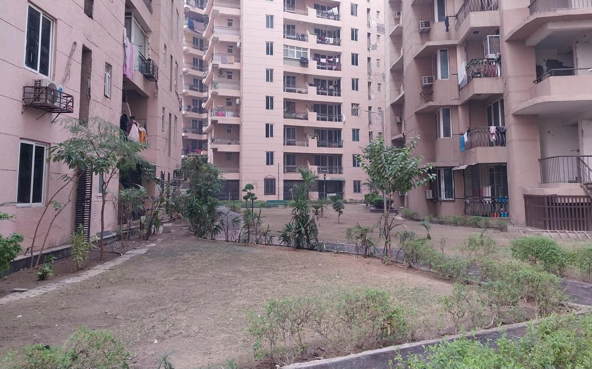 Sikka Karmic Greens - Image 40