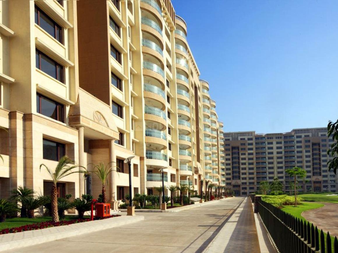 Ambience Caitriona - Image 20