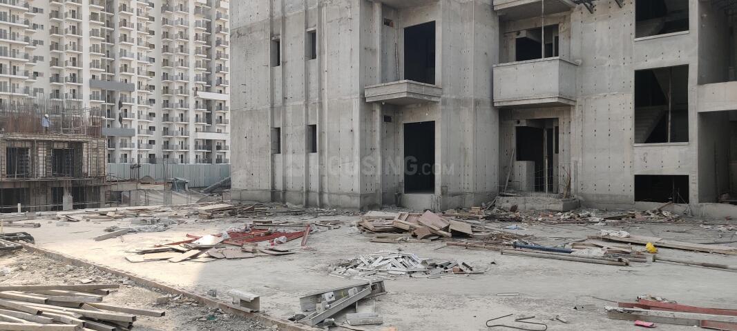 Irish Platinum - Image 38