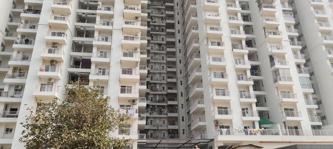 VVIP Mangal - Image 5