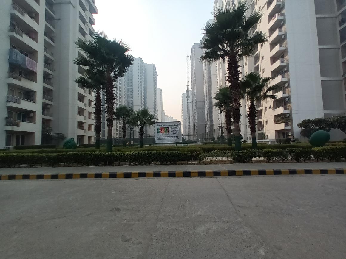 The 3C Lotus Zing - Image 30