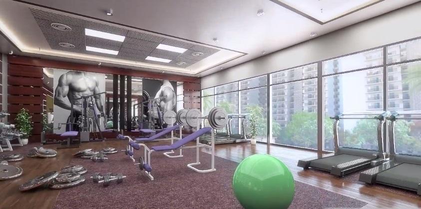 Sethi Venice - Image 23