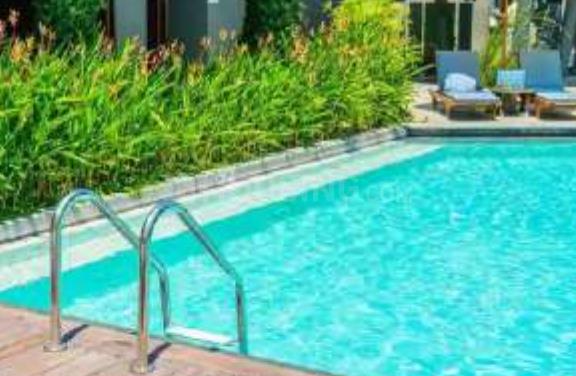 Aambesten Twin Clarus - Image 14