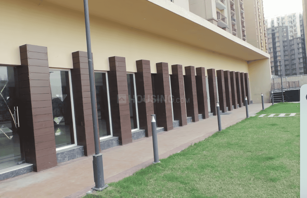 City Grace - Image 11