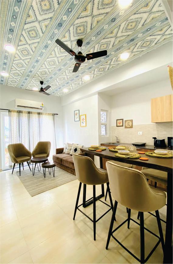 Beetle Orchid - Image 17