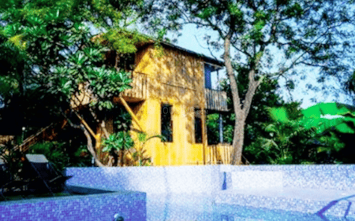 Evergreen Mango Orchad Tree Houses - Image 3