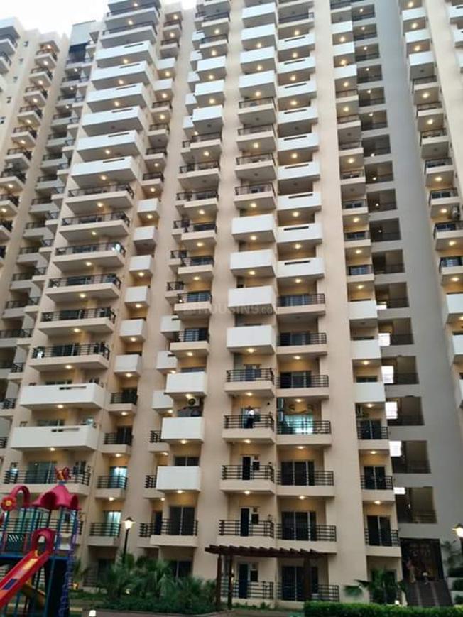 Exotica Fresco - Image 14