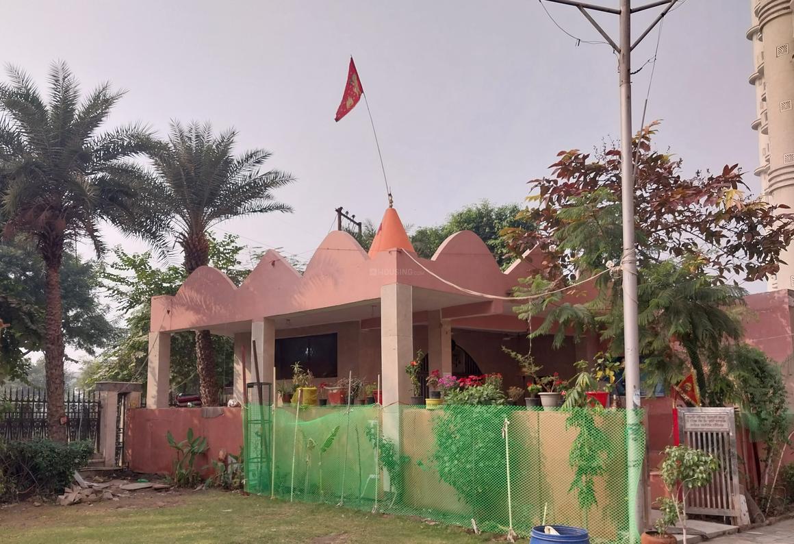 Sikka Karmic Greens - Image 41