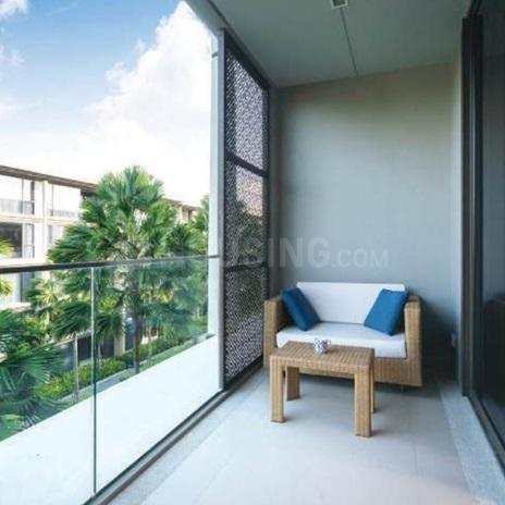 Renox Thrive - Image 9