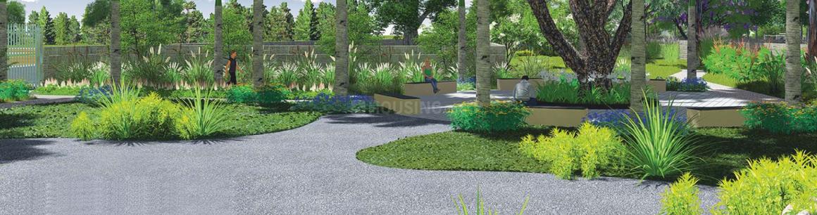 Palm County - Image 11