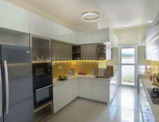 Ultima Allure - Image 4