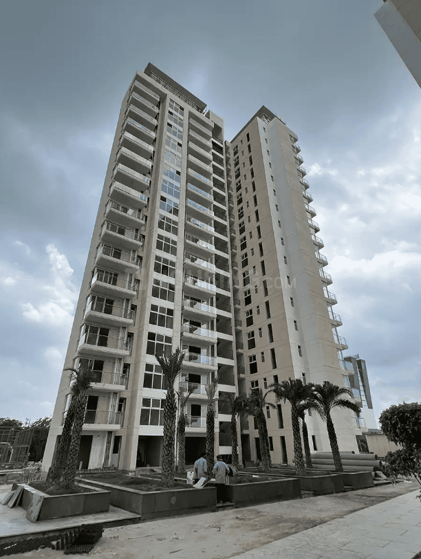 ACE Ace Starlit - Image 34