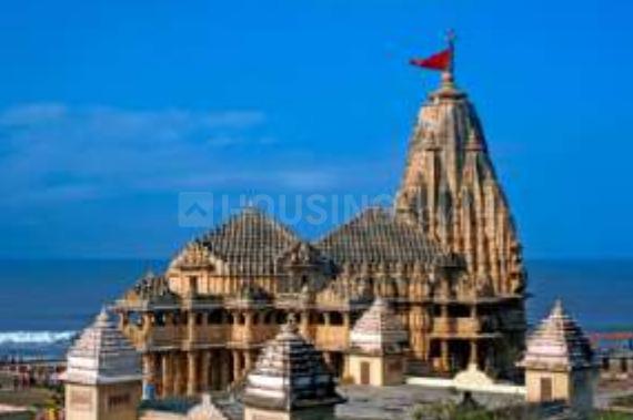 Aambesten Twin Clarus - Image 15