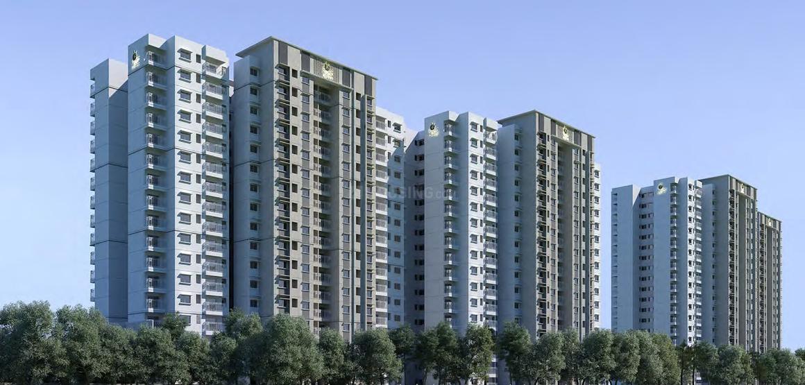 Prestige Elysian - Image 4