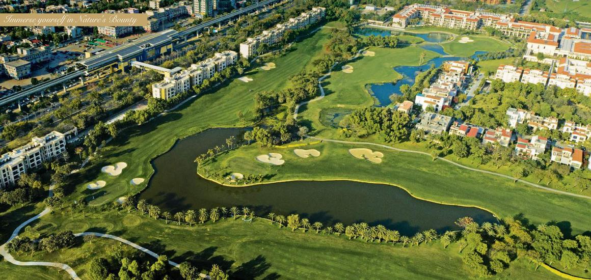 Gaurs The Islands - Image 13