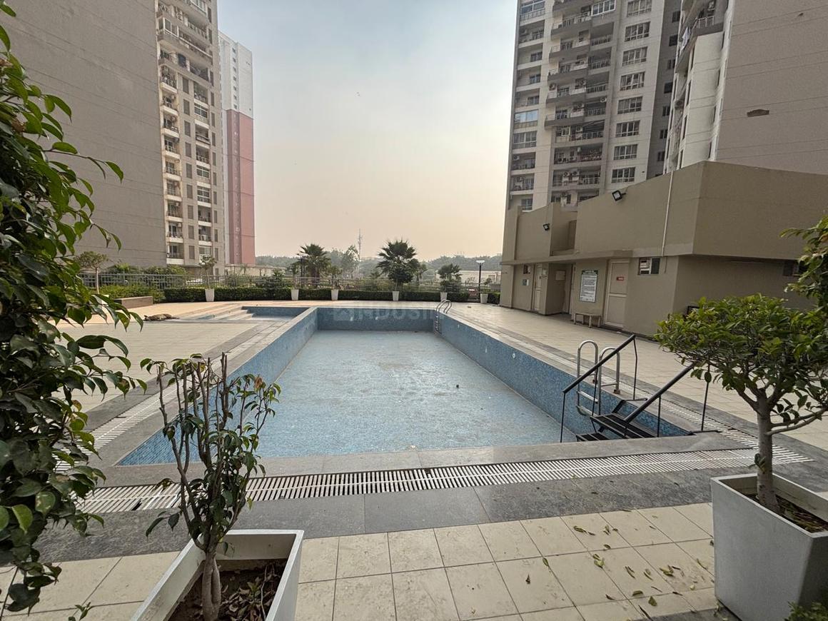 The 3C Lotus Panache - Image 33