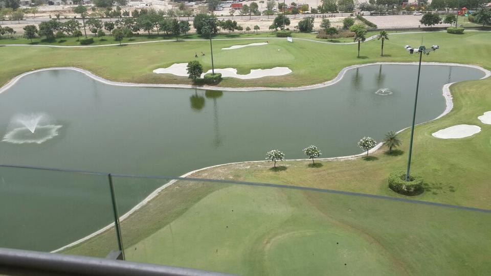 Ambience Caitriona - Image 21