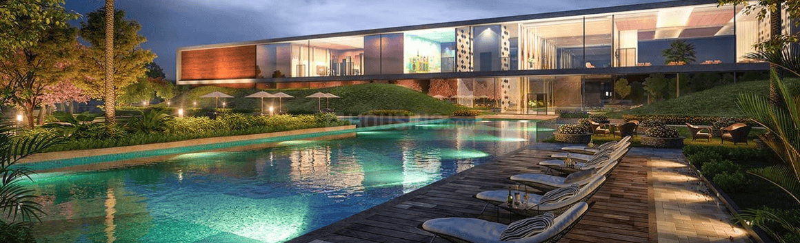 Prateek Canary - Image 22