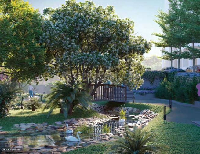 Provident Botanico - Image 19