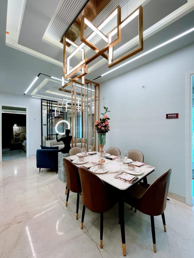 SKA Orion - Image 46