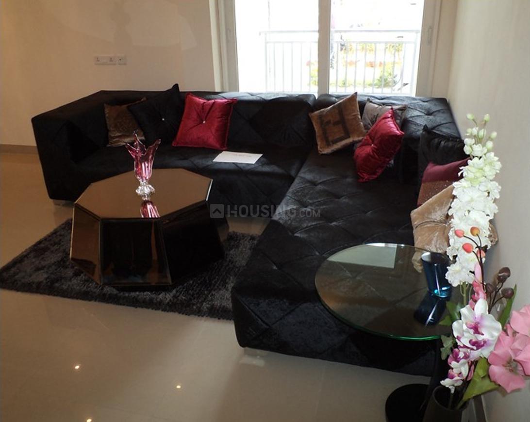 Sethi Max Royal - Image 47