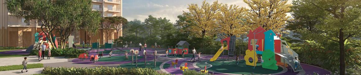 Ivory County Gold - Image 13