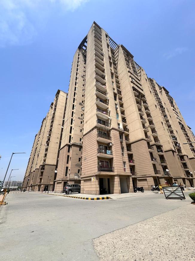 City Grace - Image 5