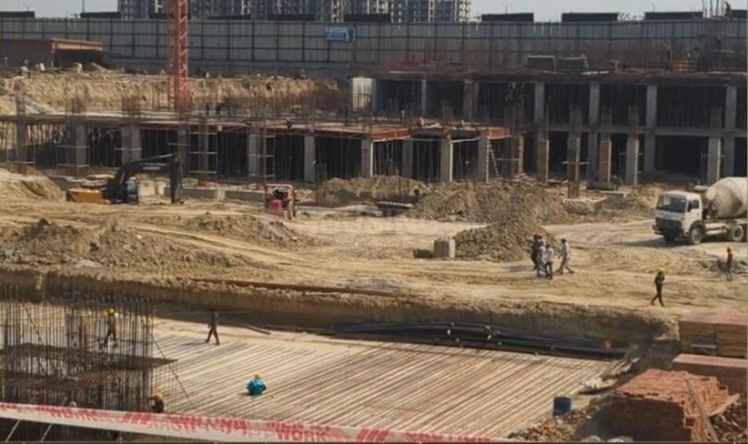 Ivory County - Image 33