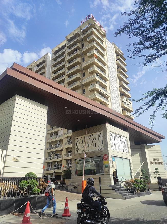 Golfgreen Elite Golf Green - Image 7