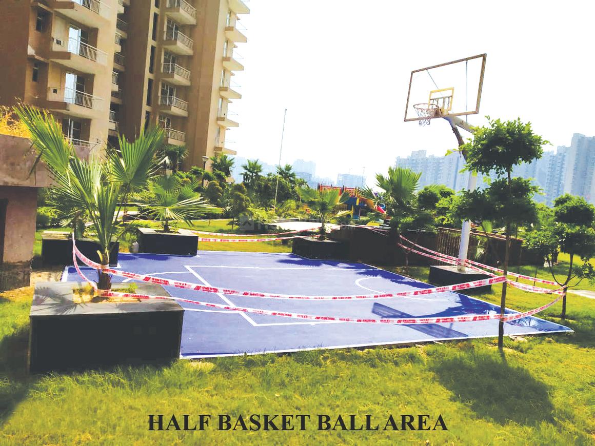 Nirala Greenshire - Image 19