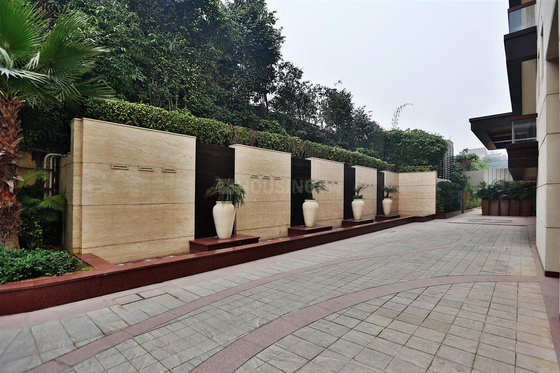 Aarone Botanica - Image 9