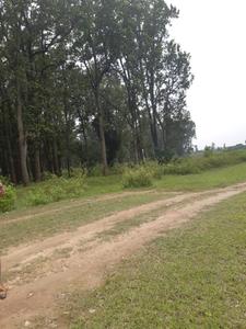8100 Sq.ft Residential Plot for Sale in Nawada, Dehradun
