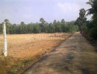 Residential Plot
