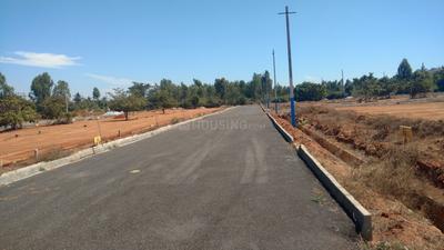 Residential Plot
