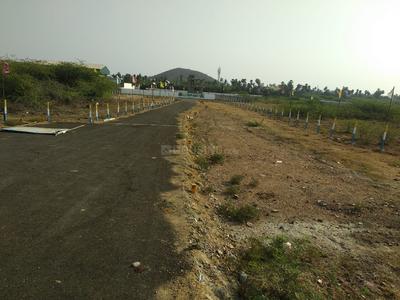 Residential Plot