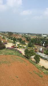Residential Plot