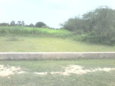 Residential Plot