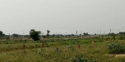 Gallery Cover Image of Sq.ft Residential Plot for buy in Raksa for 300000