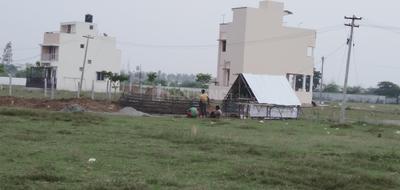 Residential Plot