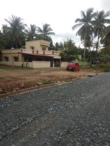 Residential Plot