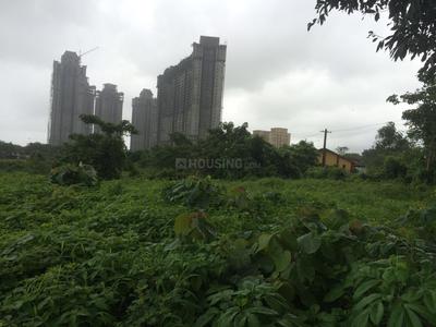 Residential Plot