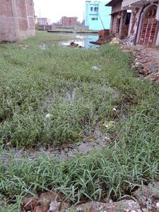 1372 Sq.ft Residential Plot for Sale in Ramkrishan Nagar, Patna