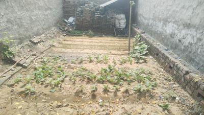 540 Sq.ft Residential Plot for Sale in Masjid Area, Faridabad