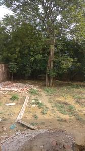 Gallery Cover Image of Sq.ft Residential Plot for buy in DLF Farms for 54000000