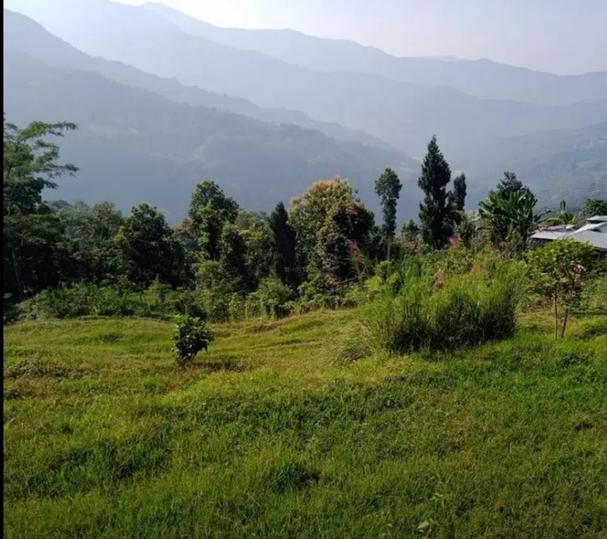 Residential 4350 Sqft Plot for sale at Kalimpong Khasmahal, kalimpong Property ID 7642571