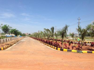Residential Plot