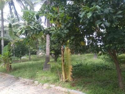 Residential Plot